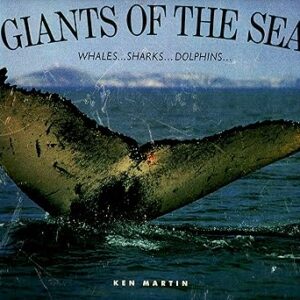 GIANTS OF THE SEA WHALES , SHARKS , DOLPHINS