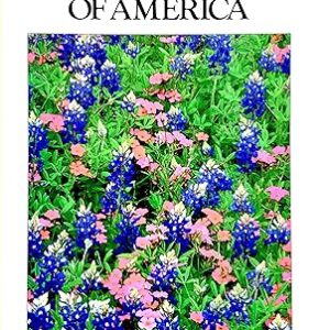 WILDFLOWERS OF AMERICA