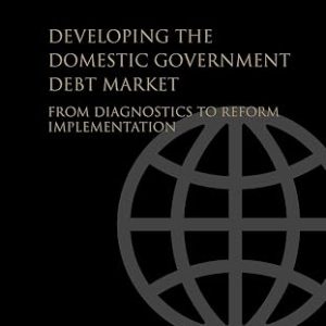 DEVELOPING THE DOMESTIC GOVERNMENT DEBT MARKET