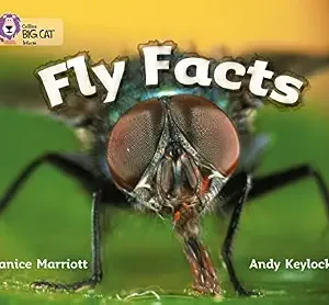 FLY FACTS