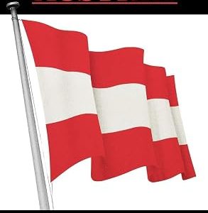 POLITICS AUSTRIA